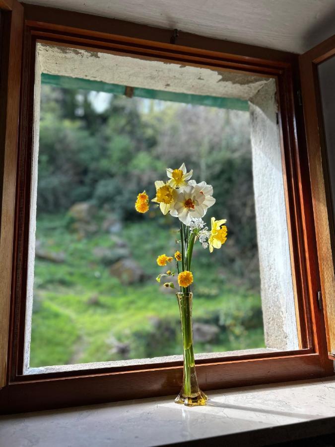 Appartement Casina Orione à Montecatini Val di Cecina Extérieur photo