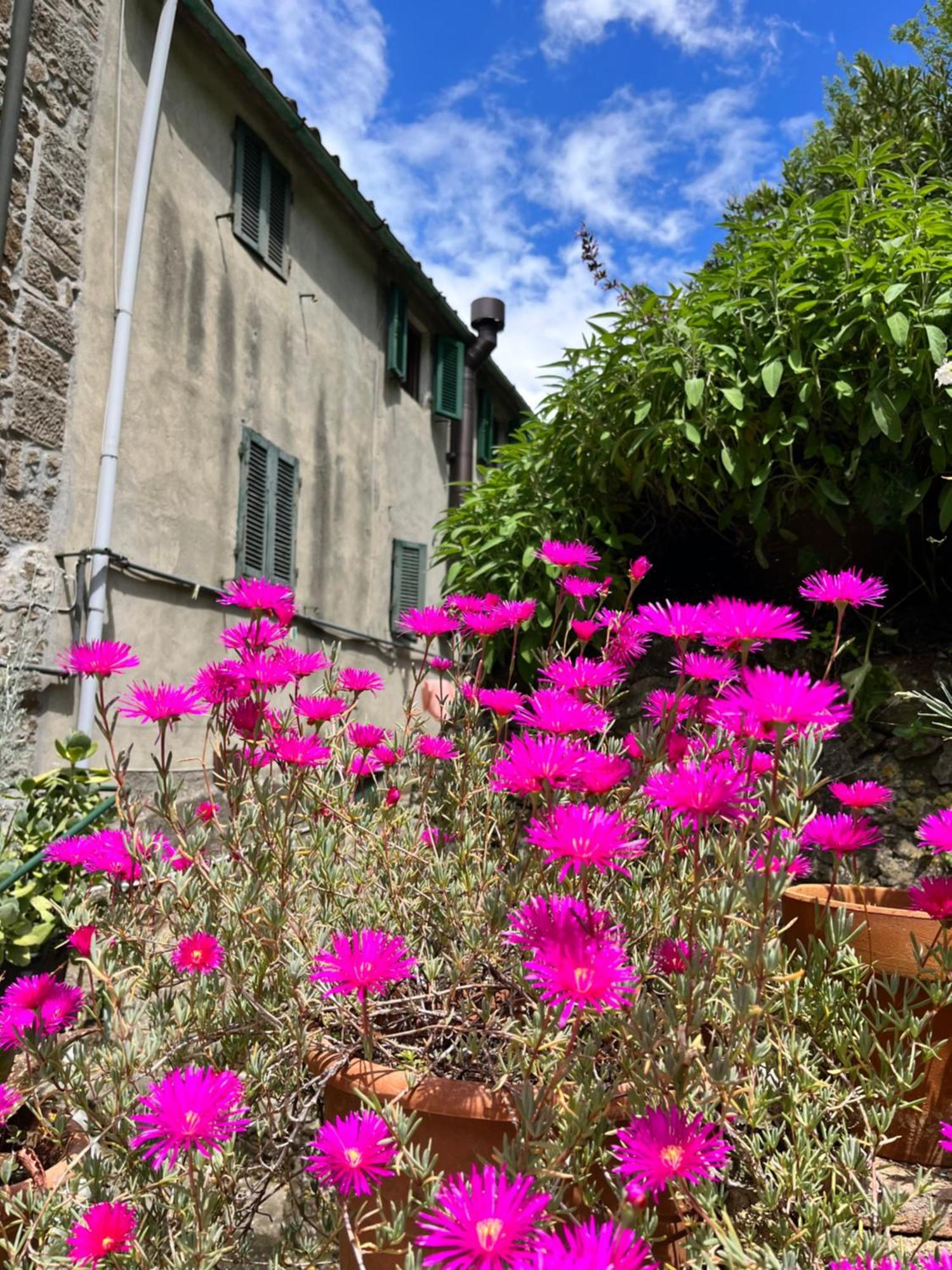 Appartement Casina Orione à Montecatini Val di Cecina Extérieur photo